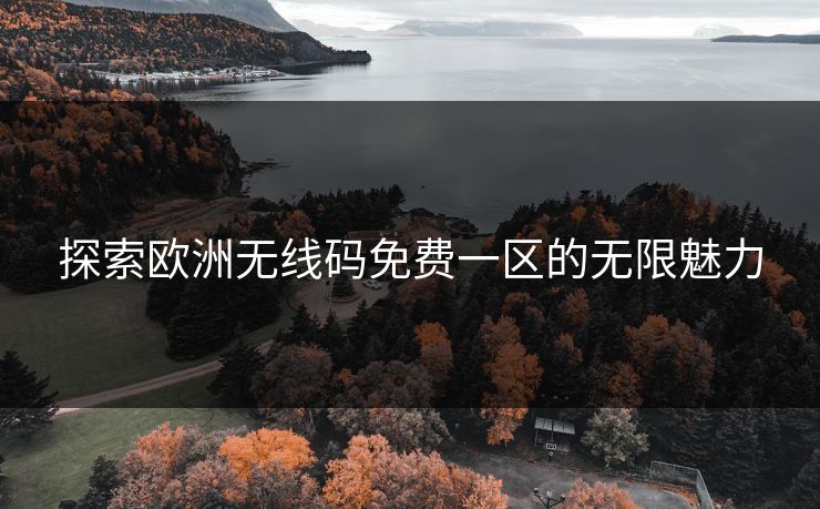 探索欧洲无线码免费一区的无限魅力