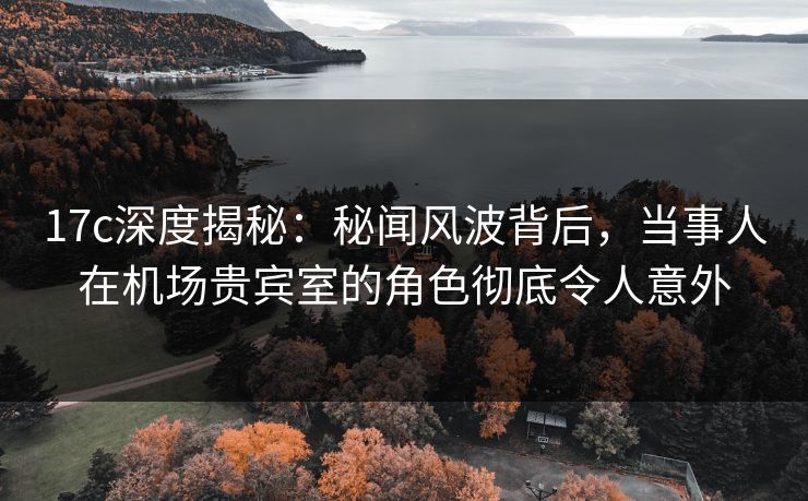 17c深度揭秘：秘闻风波背后，当事人在机场贵宾室的角色彻底令人意外