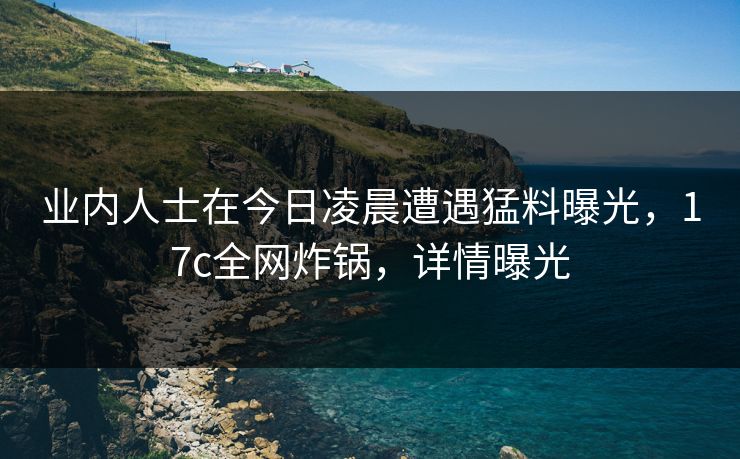 业内人士在今日凌晨遭遇猛料曝光，17c全网炸锅，详情曝光