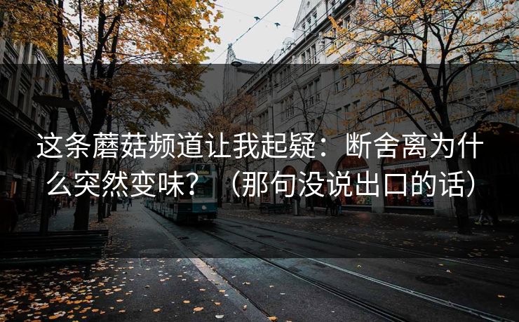 这条蘑菇频道让我起疑：断舍离为什么突然变味？（那句没说出口的话）