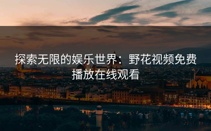 探索无限的娱乐世界：野花视频免费播放在线观看