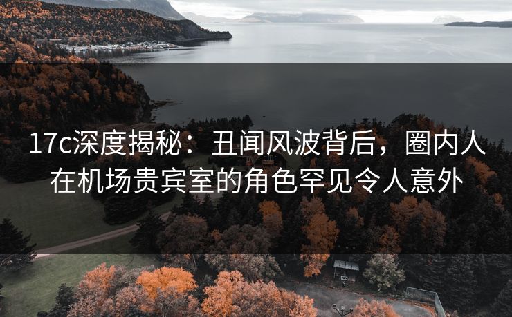 17c深度揭秘：丑闻风波背后，圈内人在机场贵宾室的角色罕见令人意外
