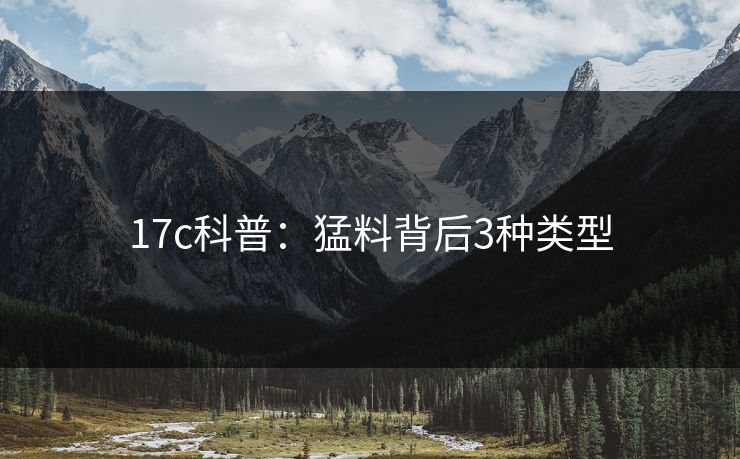 17c科普：猛料背后3种类型