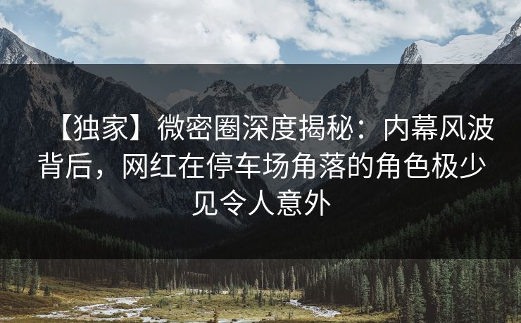 【独家】微密圈深度揭秘：内幕风波背后，网红在停车场角落的角色极少见令人意外
